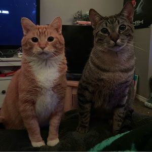 Meet your Posher, Kody